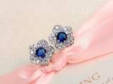 Fashion Earrings 