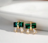 Fashion Earrings 