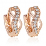 Fashion Earrings 