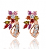 Fashion Earrings 