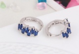 Fashion Earrings 