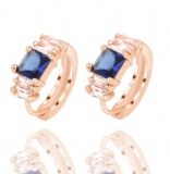 Fashion Earrings 