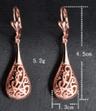 pipa earring